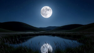 Une pleine lune lumineuse éclaire un paysage estival nocturne composé de collines sombres, d'une étendue d'eau calme et d'herbes, dans des tons bleu profond et argent.